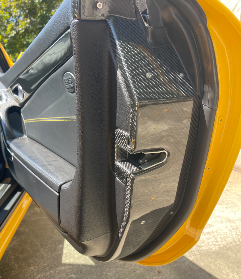 Passenger’s Door with new door plate